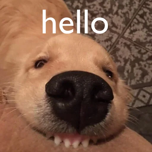 😃 Стикер «вместо тысячи слов» для Telegram