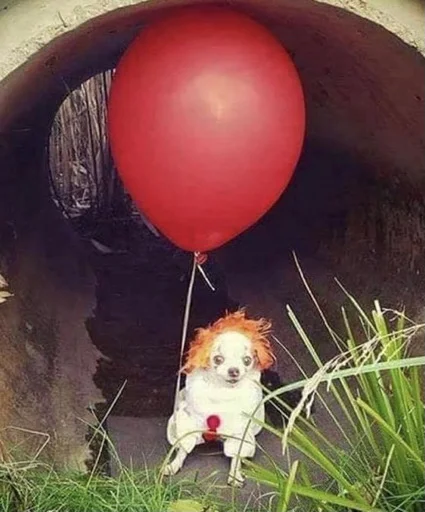 🤡 Стикер «вместо тысячи слов» для Telegram