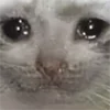 😭 Эмодзи «emotes» для Telegram