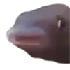 😶 Эмодзи «emotes» для Telegram