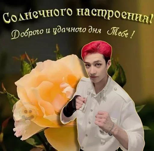 😁 Стикер «Энхайпен энд стрей кидс ворлд доминейшн» для Telegram