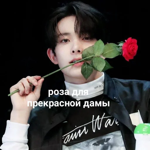 💐 Стикер «Энхайпен энд стрей кидс ворлд доминейшн» для Telegram