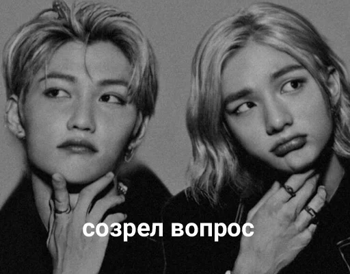 🤨 Стикер «Энхайпен энд стрей кидс ворлд доминейшн» для Telegram
