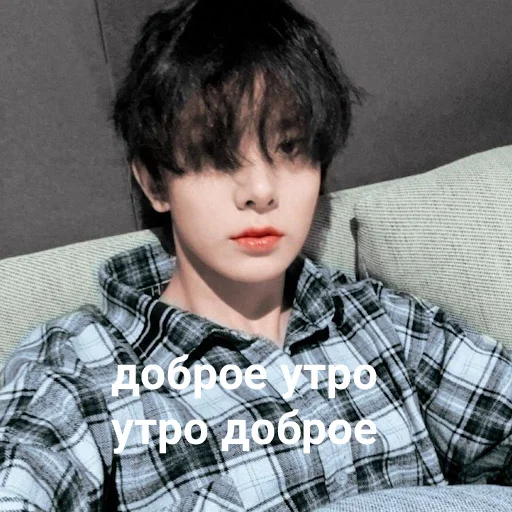 🙂 Стикер «Энхайпен энд стрей кидс ворлд доминейшн» для Telegram