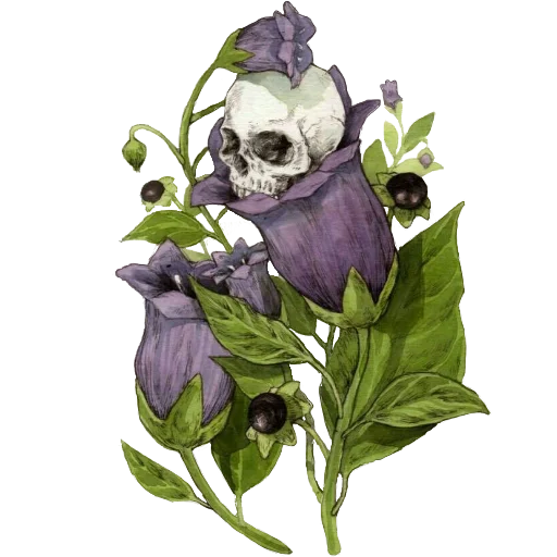 💀 Стикер «Enchanted garden» для Telegram