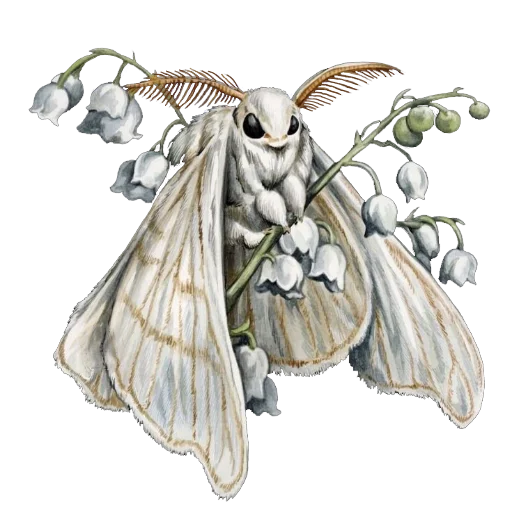 🪽 Стикер «Enchanted garden» для Telegram
