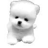 ะะฑะปะพะถะบะฐ ะฟะฐะบะฐ