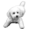 Стикер 52 𓆩 ᨦ 𝑒𝑛𝑑𝑙𝑒𝑠𝑠𝑙𝑦𝑝𝑎𝑖𝑛𝒻𝑢𝑙