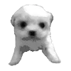 Стикер 9 𓆩 ᨦ 𝑒𝑛𝑑𝑙𝑒𝑠𝑠𝑙𝑦𝑝𝑎𝑖𝑛𝒻𝑢𝑙