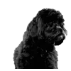 Стикер 22 𓆩 ᨦ 𝑒𝑛𝑑𝑙𝑒𝑠𝑠𝑙𝑦𝑝𝑎𝑖𝑛𝒻𝑢𝑙