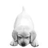 Стикер 51 𓆩 ᨦ 𝑒𝑛𝑑𝑙𝑒𝑠𝑠𝑙𝑦𝑝𝑎𝑖𝑛𝒻𝑢𝑙