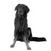 Стикер 59 𓆩 ᨦ 𝑒𝑛𝑑𝑙𝑒𝑠𝑠𝑙𝑦𝑝𝑎𝑖𝑛𝒻𝑢𝑙