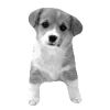 Стикер 6 𓆩 ᨦ 𝑒𝑛𝑑𝑙𝑒𝑠𝑠𝑙𝑦𝑝𝑎𝑖𝑛𝒻𝑢𝑙