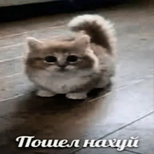 🥰 Стикер «Engineer TF2» для Telegram