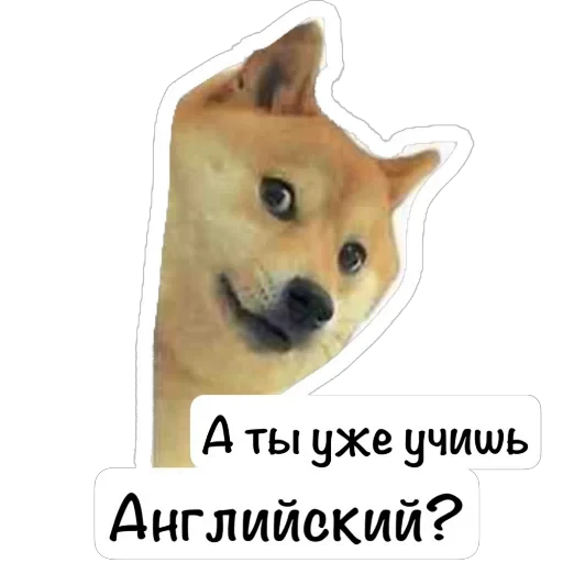 🫥 Стикер «English Booth» для Telegram