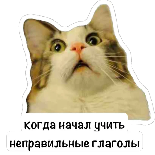🫥 Стикер «English Booth» для Telegram