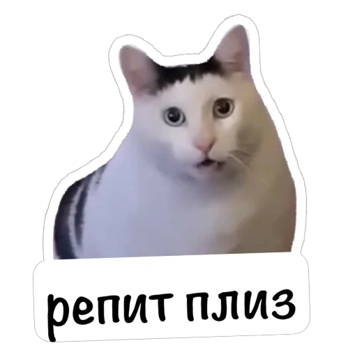 🫥 Стикер «English Booth» для Telegram
