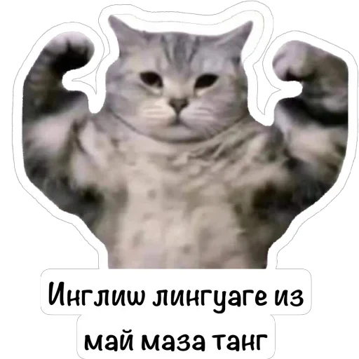 🫥 Стикер «English Booth» для Telegram