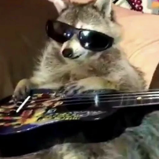 🎸 Стикер «Енотики» для Telegram