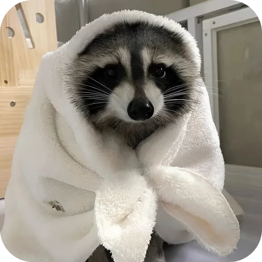 🥰 Стикер «Енотики 1» для Telegram