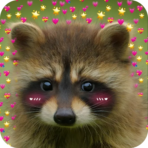 😊 Стикер «Енотики 1» для Telegram