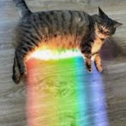 🌈 Стикер «Erik show» для Telegram