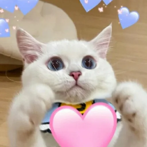 😘 Стикер «Erik show» для Telegram