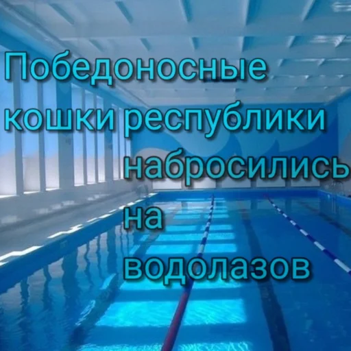 😿 Стикер «А-А-А-А-А ПОНЯТНО ТОГДА ЛАДНО ДАВАЙ СПОКОЙНОЙ НОЧИ Я УМЫВАТЬСЯ» для Telegram