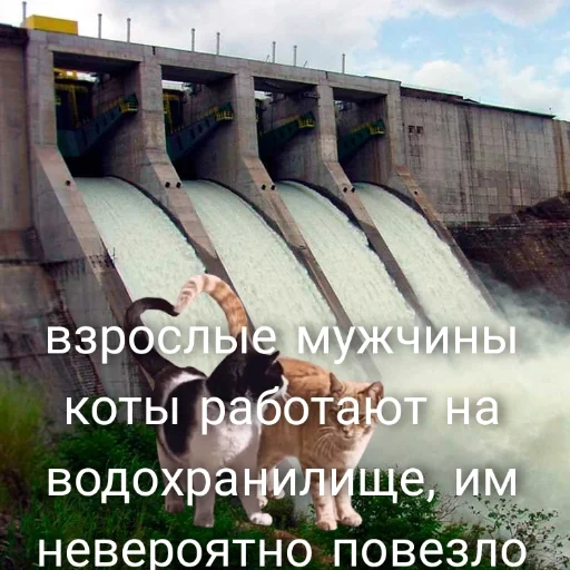 🕯️ Стикер «А-А-А-А-А ПОНЯТНО ТОГДА ЛАДНО ДАВАЙ СПОКОЙНОЙ НОЧИ Я УМЫВАТЬСЯ» для Telegram