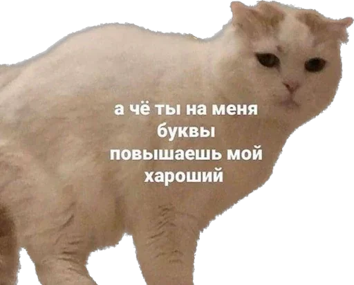 😡 Стикер «Esche» для Telegram