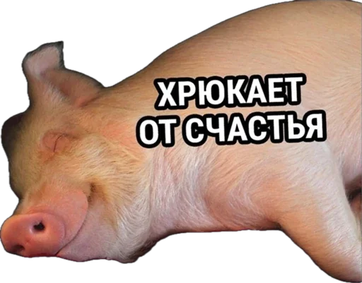 🐷 Стикер «Esche» для Telegram