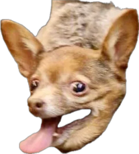 🐶 Стикер «Esche» для Telegram