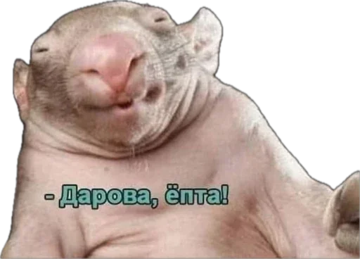 😃 Стикер «Esche» для Telegram