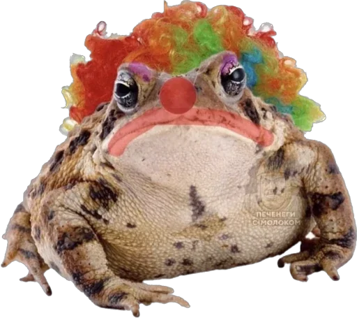 🐸 Стикер «Esche» для Telegram