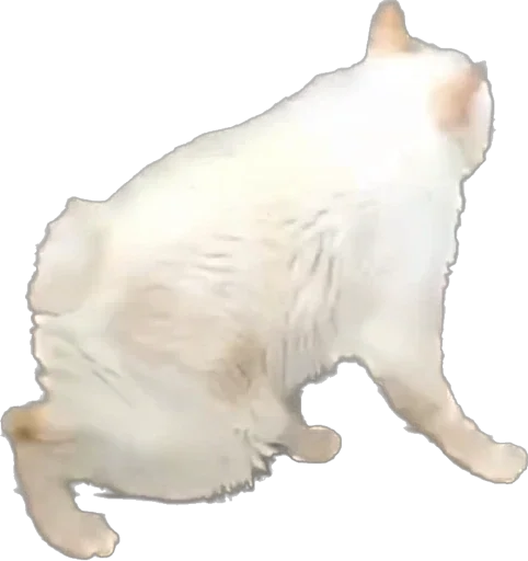 🐱 Стикер «Esche» для Telegram