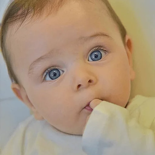 😯 Стикер «Eshghiya 2 - Great Stickers» для Telegram
