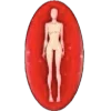 Стикер 58 Esotic Pack