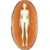 Стикер 59 Esotic Pack