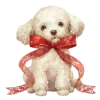 🎄 Эмодзи «˚ *༄*ੈ✧ 𝑋𝑚𝑎𝑠 ✧·˚ *ೃ༄» для Telegram