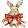 🎄 Эмодзи «˚ *༄*ੈ✧ 𝑋𝑚𝑎𝑠 ✧·˚ *ೃ༄» для Telegram
