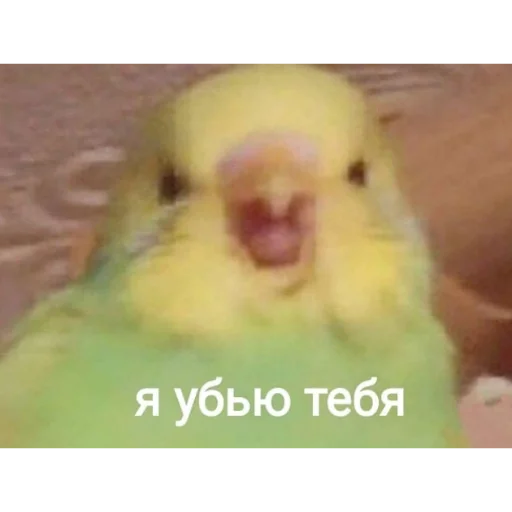 🤬 Стикер «ЭТО ЖИЗНЬ» для Telegram