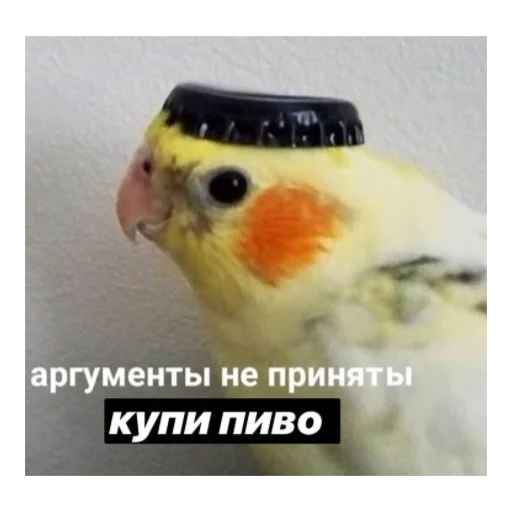 🍻 Стикер «ЭТО ЖИЗНЬ» для Telegram