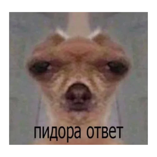 😉 Стикер «ЭТО ЖИЗНЬ» для Telegram