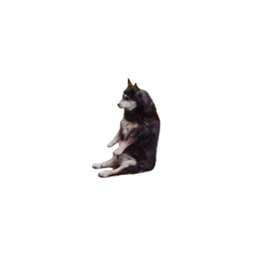 🤪 Стикер «Inappropriate» для Telegram