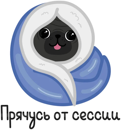 🙈 Стикер «Eva The Pug» для Telegram
