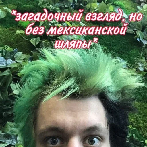 👀 Стикер «Fludd&;ushka» для Telegram
