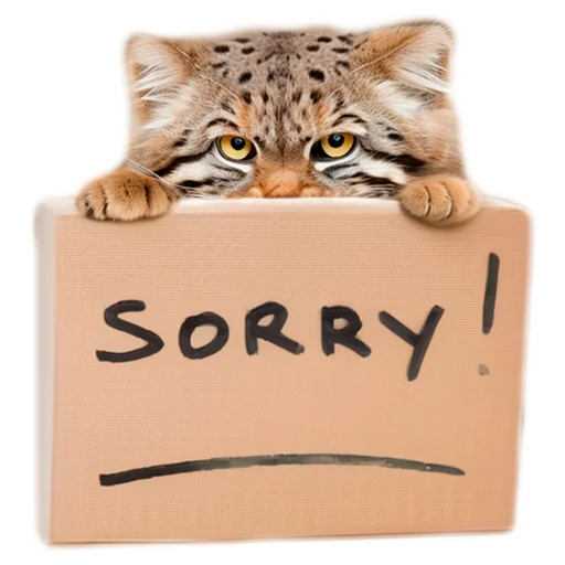 😇 Стикер «Everyday Manul» для Telegram