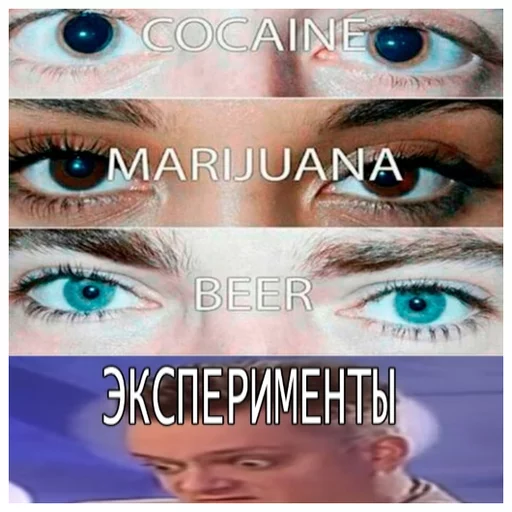 🌞 Стикер «Пушной FACE EVERYDAY» для Telegram