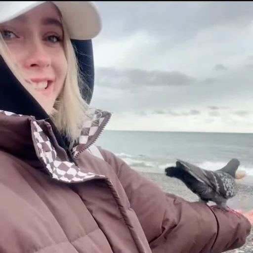 🐦 Стикер «Evmurкино» для Telegram