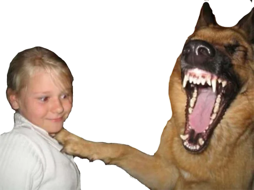 🐶 Стикер «Experimental stickers» для Telegram